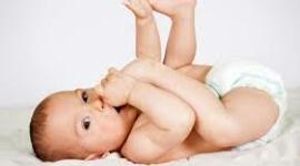 Timeline: 1er año de vida del bebé