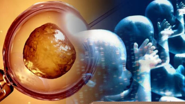 Debate por primeros experimentos modificando en embriones el genoma humano