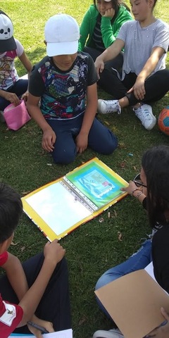 Acciones para resolver problema