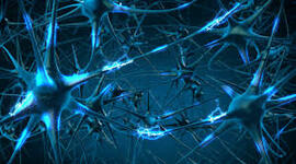 Timeline: LA NEUROPSICOLOGIA EN EL TIEMPO