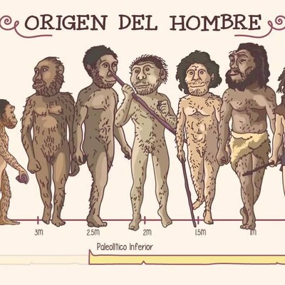 Timeline: HISTORIA DEL HOMBRE
