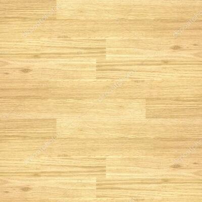 Timeline: My Volleyball Team Timeline