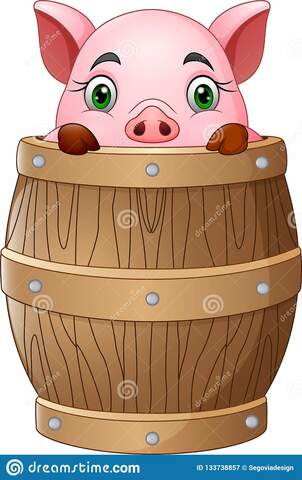 John Pynchon envaso en barriles cerdos