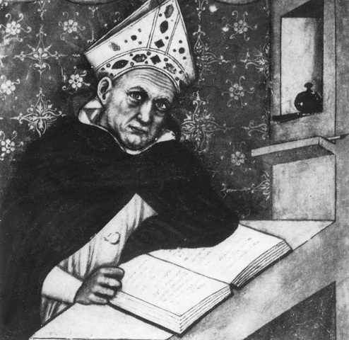 Alberto Magno: Muerdago