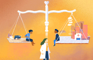 Investigación del año,