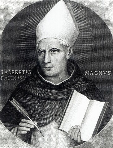Albertus Magnus