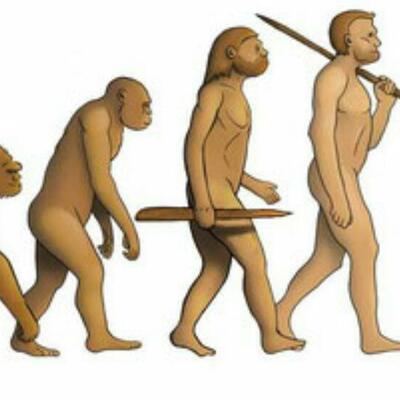 Timeline: Historia Del Hombre