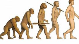 Timeline: Historia Del Hombre