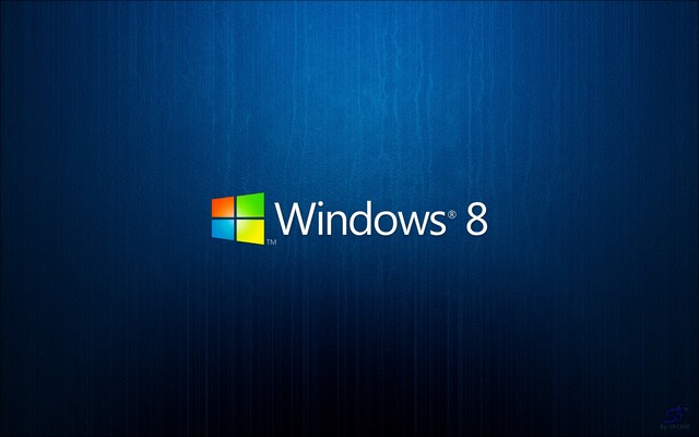 Windows 08