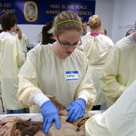 First Human Dissection Recorded