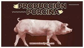 Evolución de la producción del Cerdo