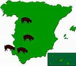 Colonización del nuevo mundo