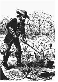 John Rolfe Plants Successful Tobacco Crops