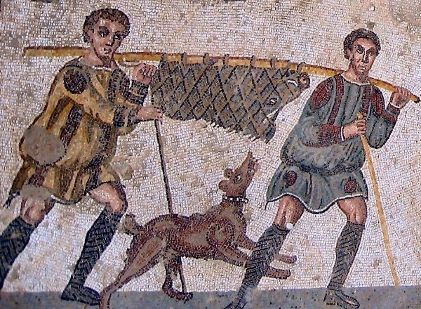 Expansión del cerdo en América