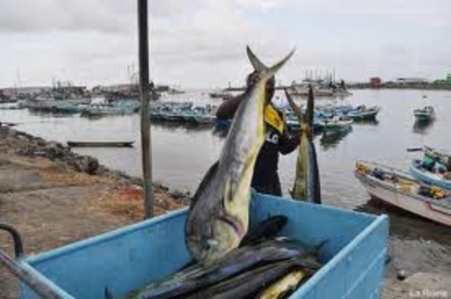 Situación mundial pesquería