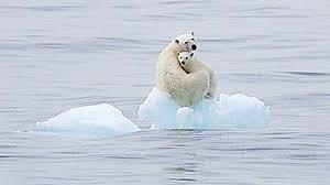 Más rapidez del cambio climático