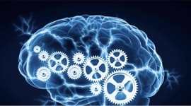 Timeline: Historia de la psicopatología.