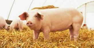 Finales del siglo XVI