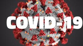 Timeline: Eje cronológico del COVID-19