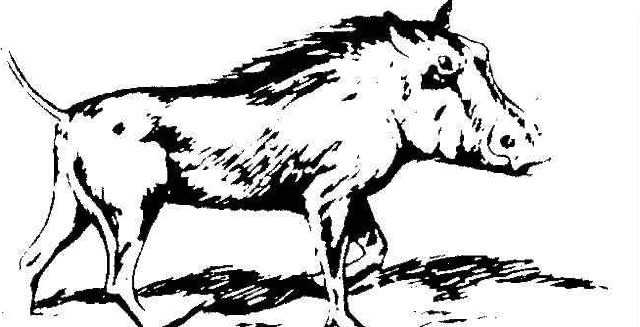 Domesticación del cerdo