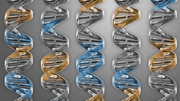 Creación de genoma artificial a partir de una bacteria