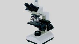 Timeline: el microscopio