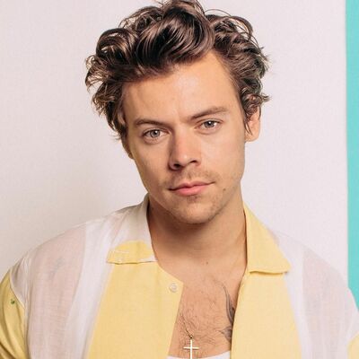 Timeline: Harry Styles