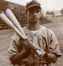 Liga mexicana de beisbol