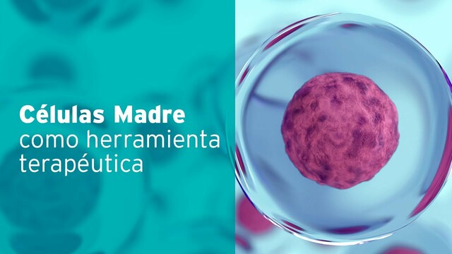 Células Madres reprogramadas
