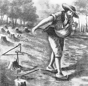 Louis Hebert- The First Habitant in Canada