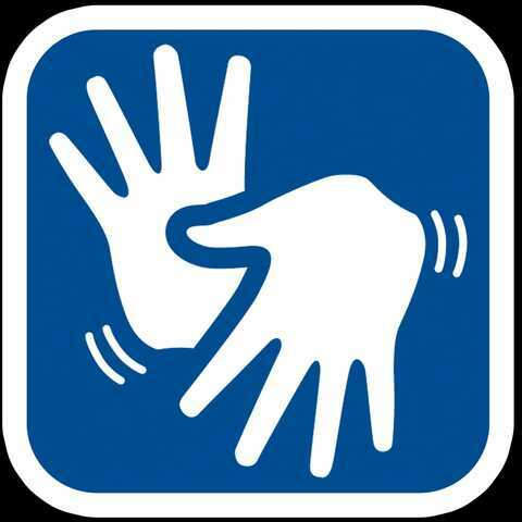 Lei nº 10.436 de 2002