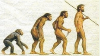 Teoría sobre la evolución de las especies