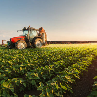 Timeline: Evolución de la agricultura en Venezuela