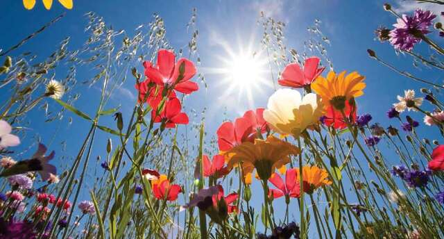 Primo giorno di primavera