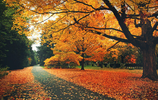 Primo giorno d'autunno