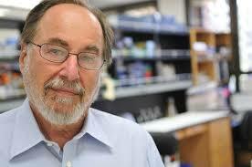 Sistema de clasificación de Baltimore