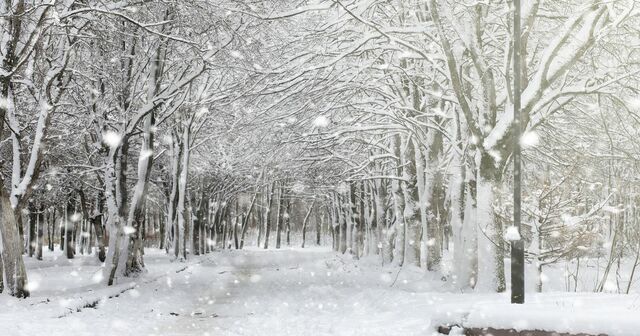 Primo giorno di inverno