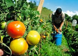 Ley de Tierras y Desarrollo Agrario venezolana