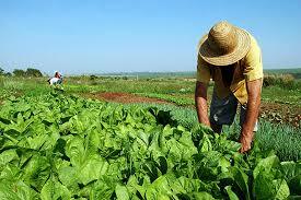 Ley de Tierras y Desarrollo Agrario