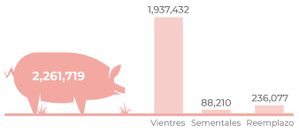 Porcinocultura mexicana