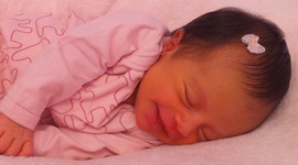 Timeline: Linha do tempo da Elisa