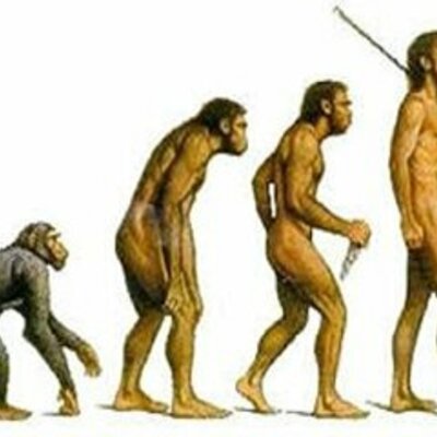 Timeline: ÁRBOL GENEALÓGICO