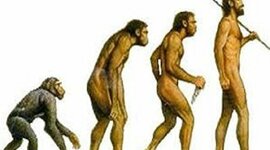 Timeline: ÁRBOL GENEALÓGICO