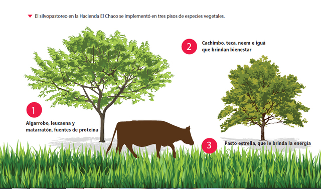 Mejora animal y vegetal en ganadería y agricultura: