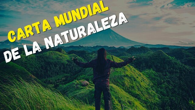 Asamblea General de las Naciones Unidas.