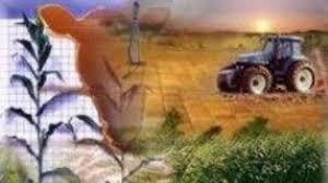 Programa de apoyo al comercio ejidal