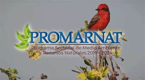 Programa Sectorial de Medio Ambiente y Recursos Naturales (PROMARNAT) 2020-2024
