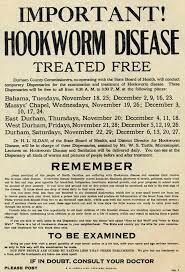 Hookworm