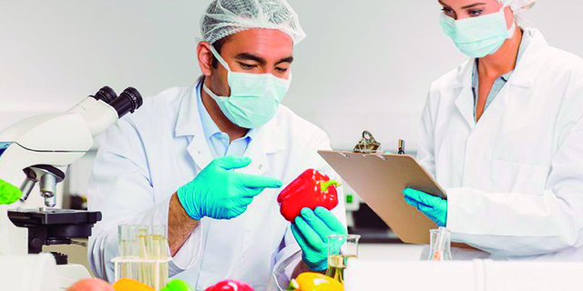 Inicios de la calidad