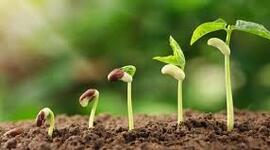 Timeline: Línea de Vida